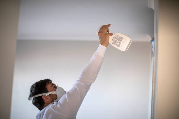 Best Mold Removal Near Me  in Mountain Lake Park, MD