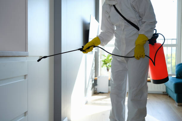 Best Residential Mold Removal  in Mountain Lake Park, MD